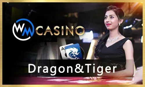 Bingo strategy tips on dreamph